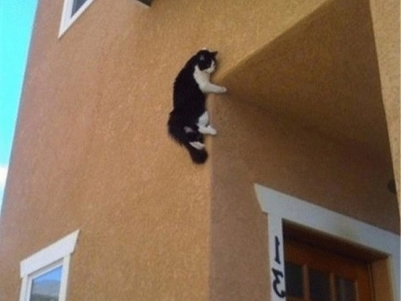 13 erstaunliche Fotos, die Sie gesehen haben müssen