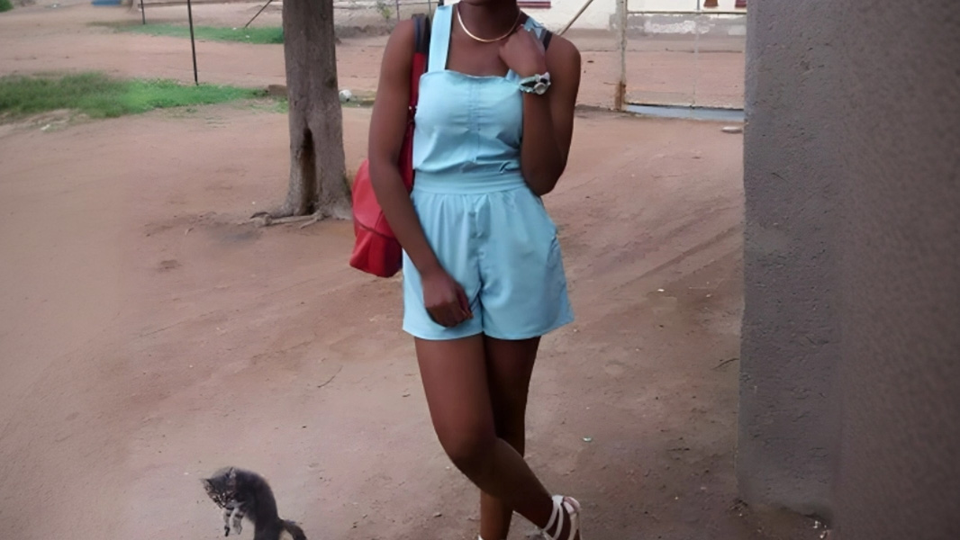 Quand les chiens et chats volent la vedette sur les photos