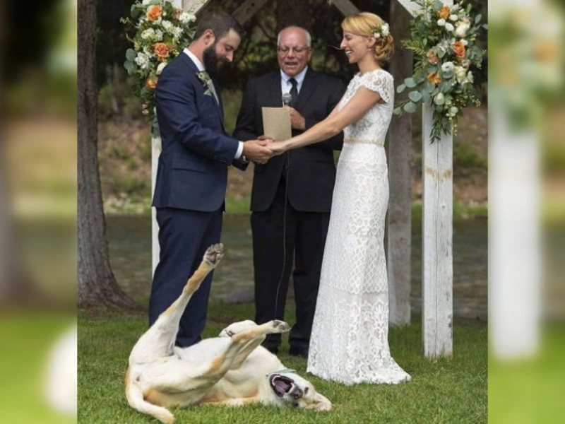 Ces photos de mariage hilarantes vont vous surprendre